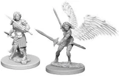Aasimar Paladin